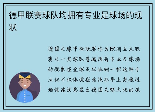 德甲联赛球队均拥有专业足球场的现状